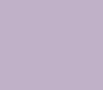 AMETHYST 20 caparol образец цвета