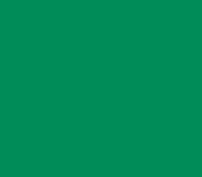 Фото цвета TVT N040