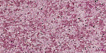 Жидкие обои Silk Plaster South 948