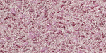 Жидкие обои Silk Plaster Victoria 713
